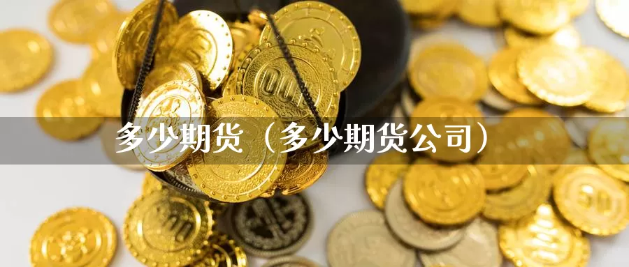 多少期货（多少期货公司）_https://www.soswan.net_恒指期货直播_第1张